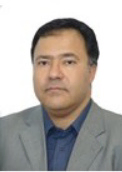 محمدرضا  سلیمانی کرمانی